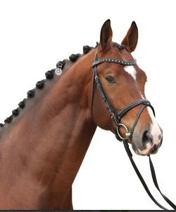 Médaille tic-clip - Cheval, 1 pièce